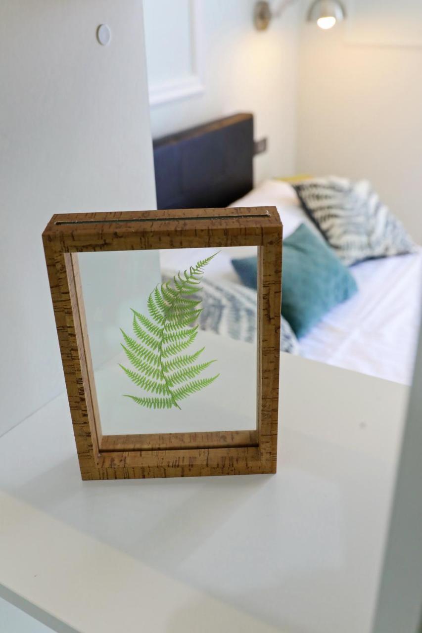 Apartament Doel